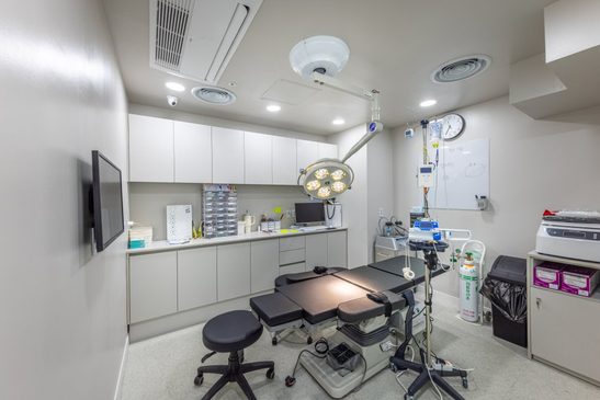 Slider image (10) Intro Plastic Surgery